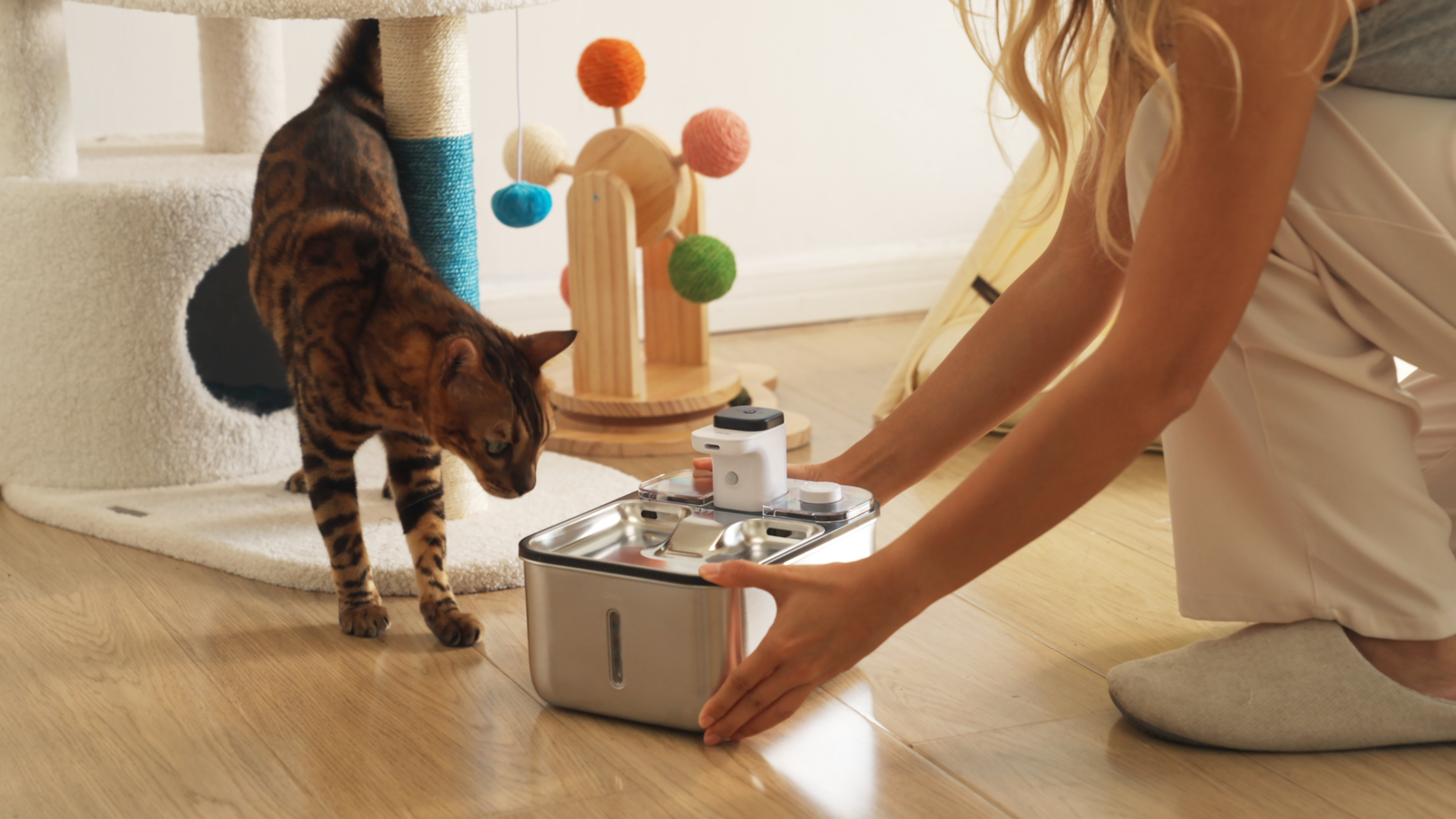 Thought design，Pet water dispenser，Pet Supplies & Pet，
