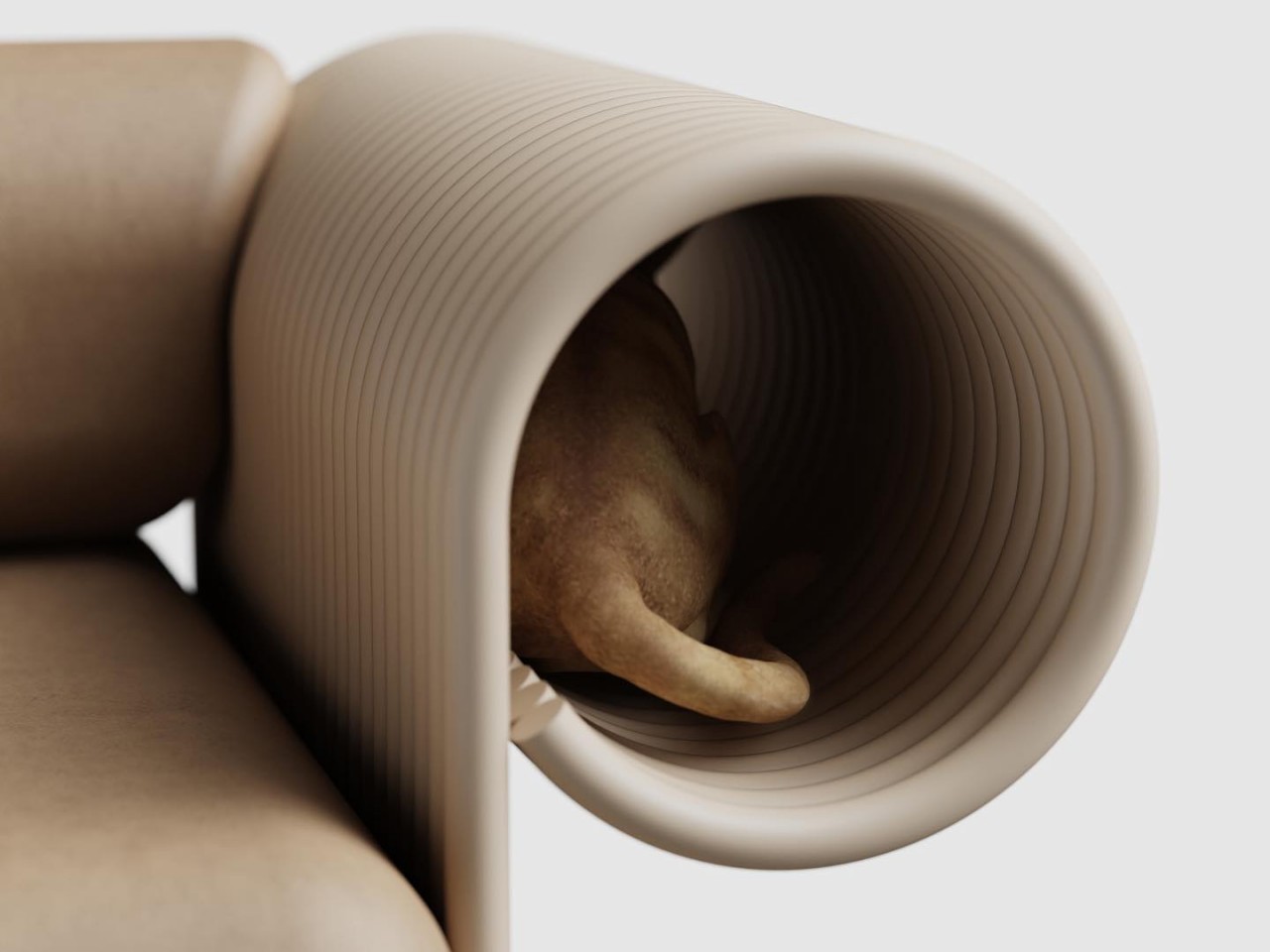 cat behavior，Cat tunnel，Creative seat，Pet Friendly，