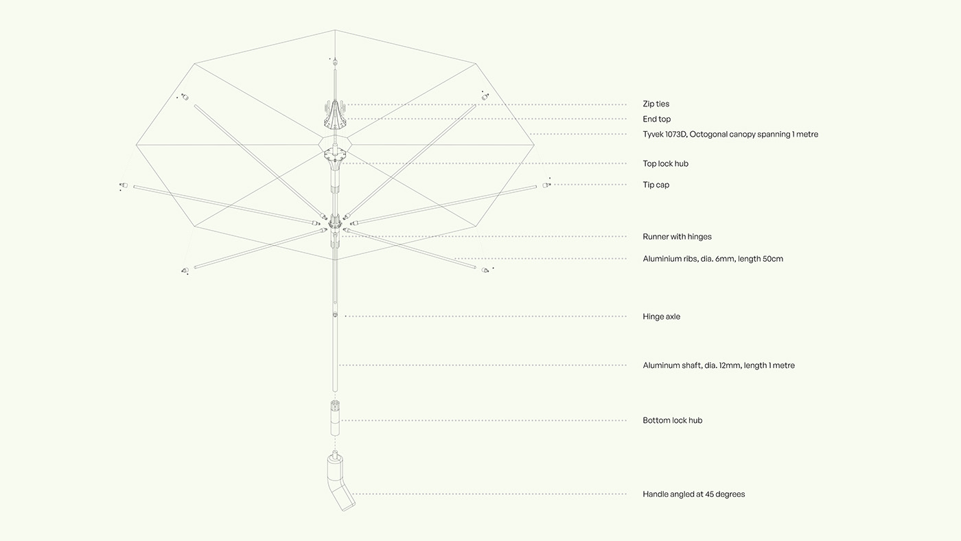 caryophyllum flower，Umbrella，Bloombrella，