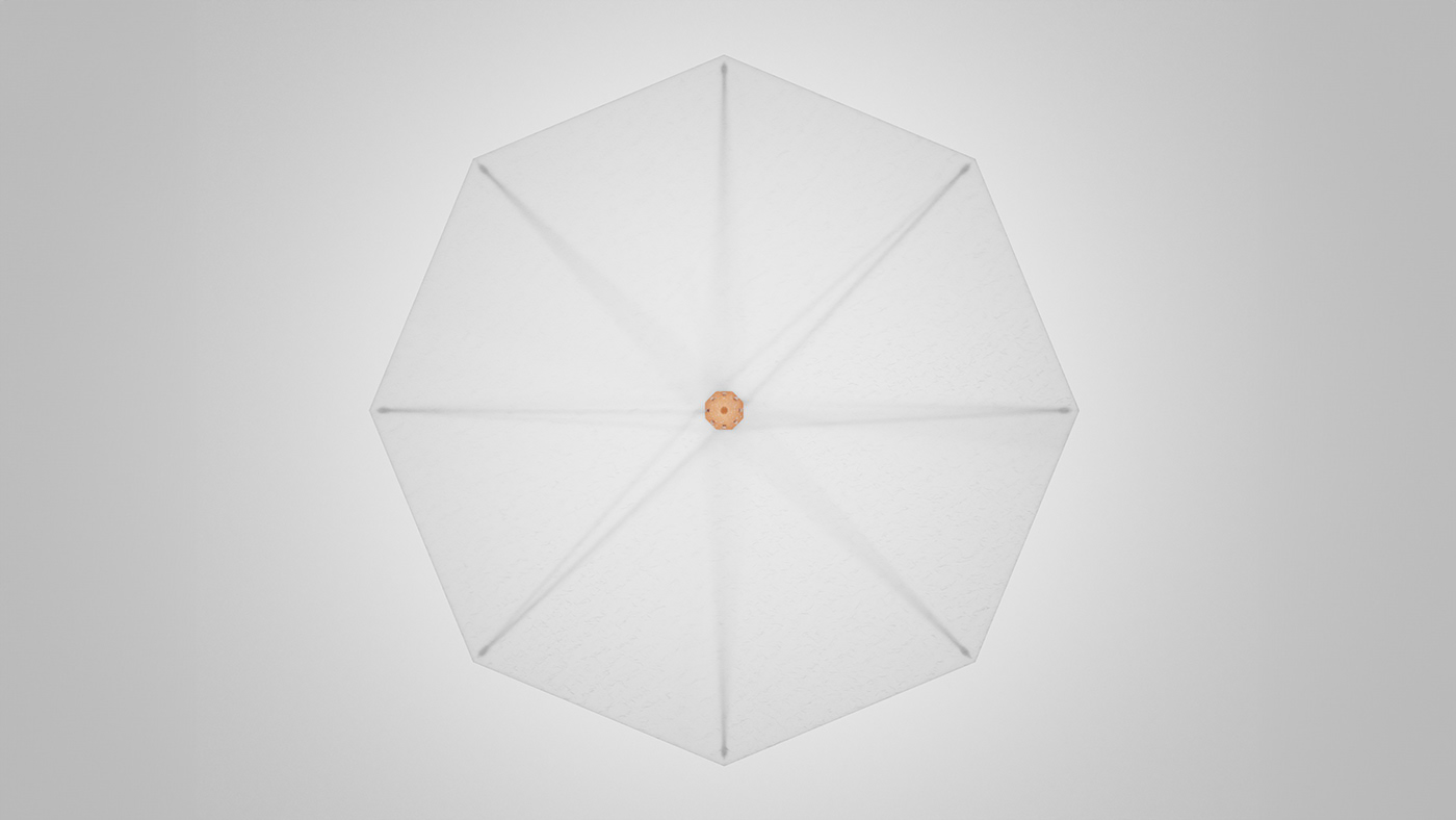 caryophyllum flower，Umbrella，Bloombrella，