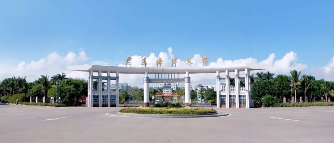 Industry，Shenzhen，education，Hand drawn，