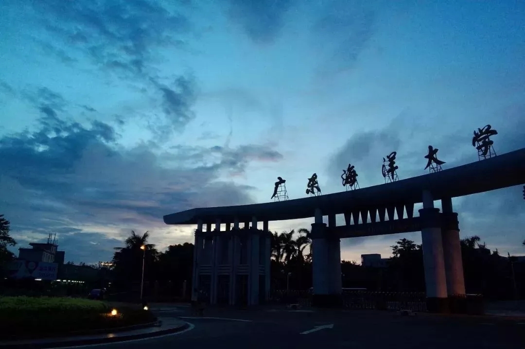 Industry，Shenzhen，education，Hand drawn，