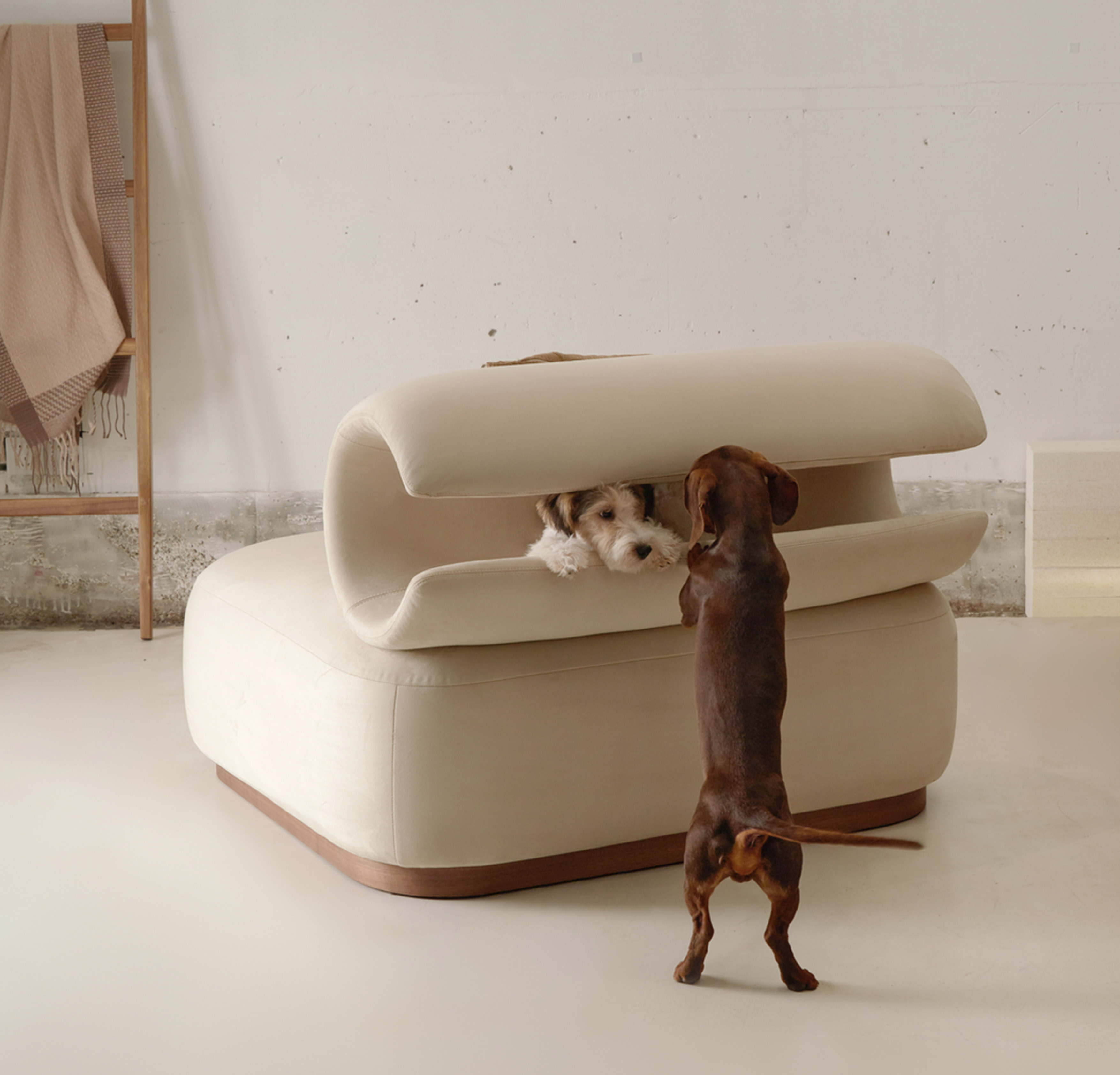 sofa，furniture，Pets，Diligent design，Pet，chair，Riikyu，