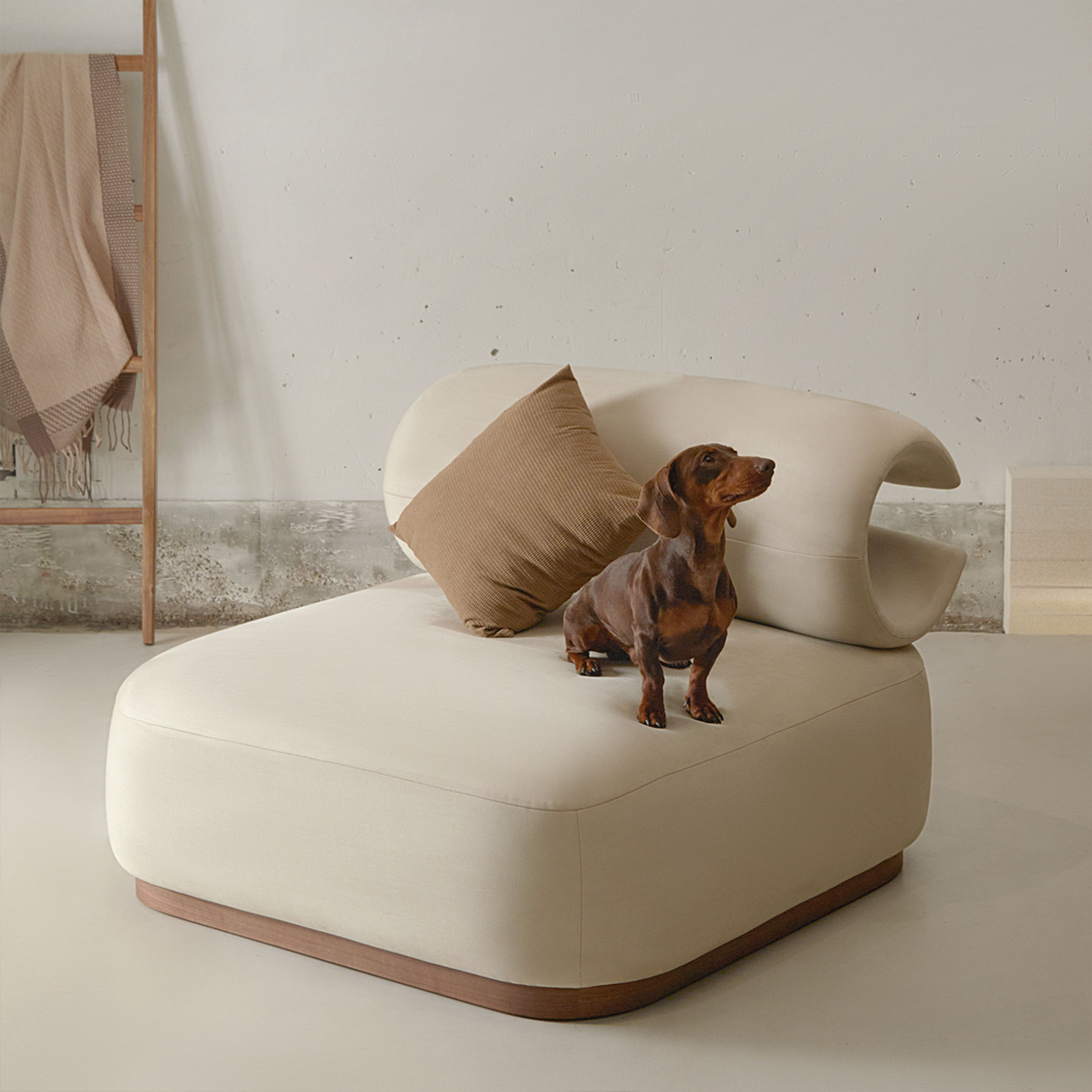 sofa，furniture，Pets，Diligent design，Pet，chair，Riikyu，