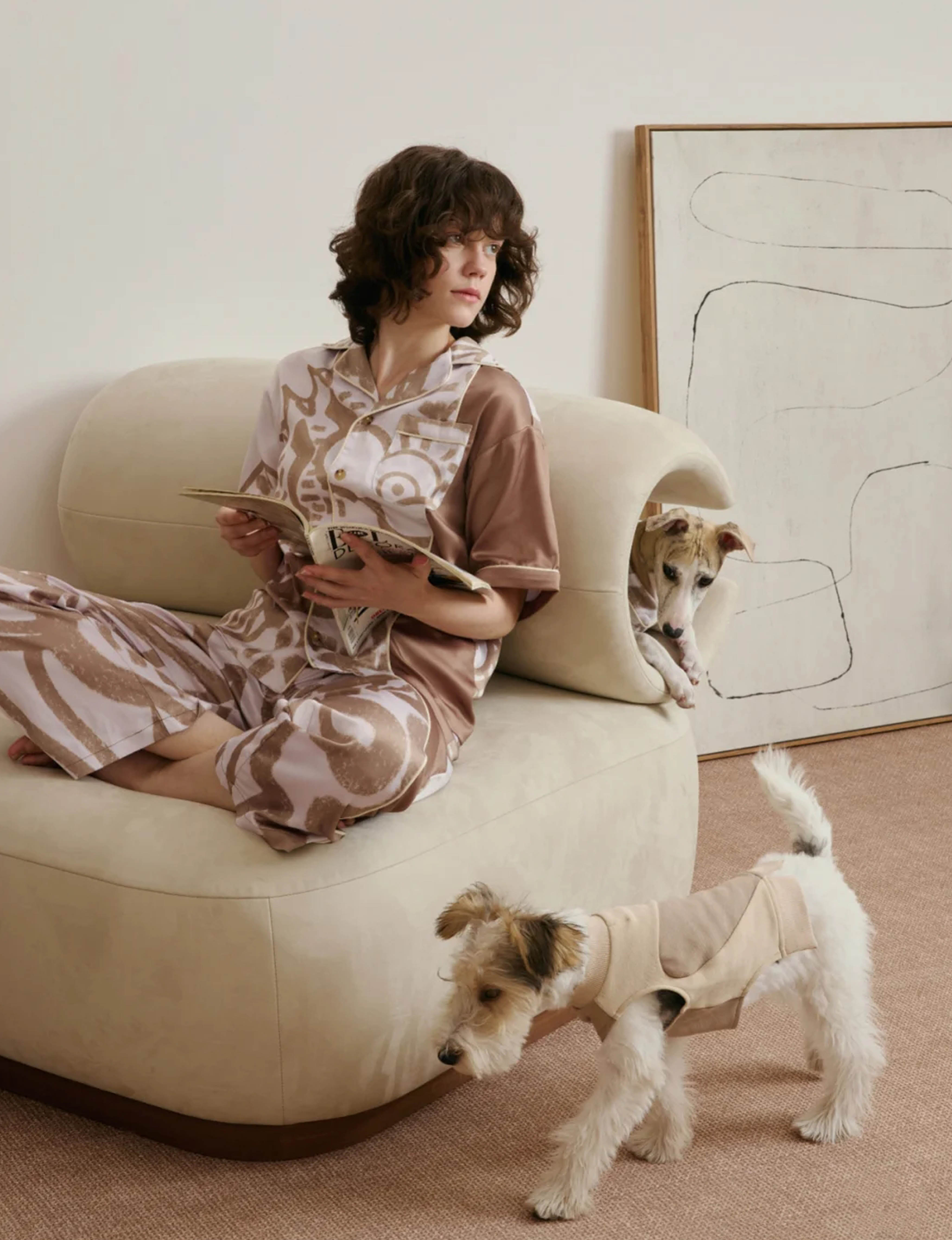 sofa，furniture，Pets，Diligent design，Pet，chair，Riikyu，