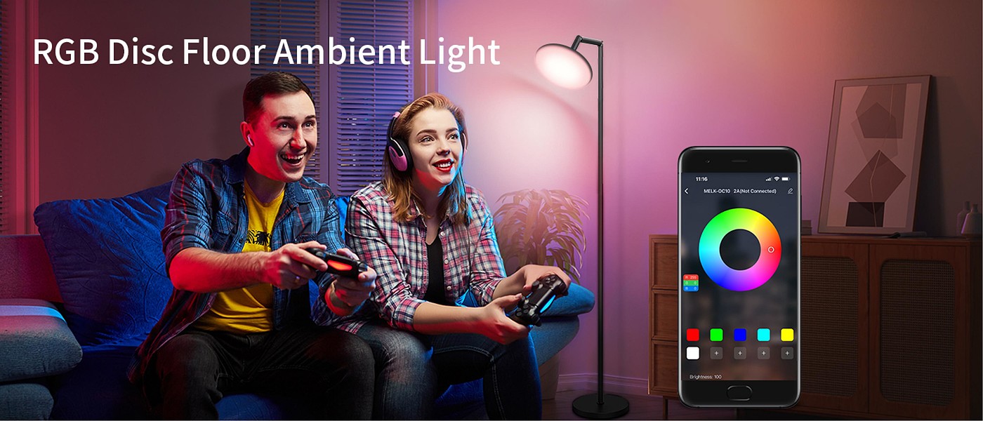Floor lamp，Atmosphere lamp，GVVOO HOME: Disc Floor Lamp，