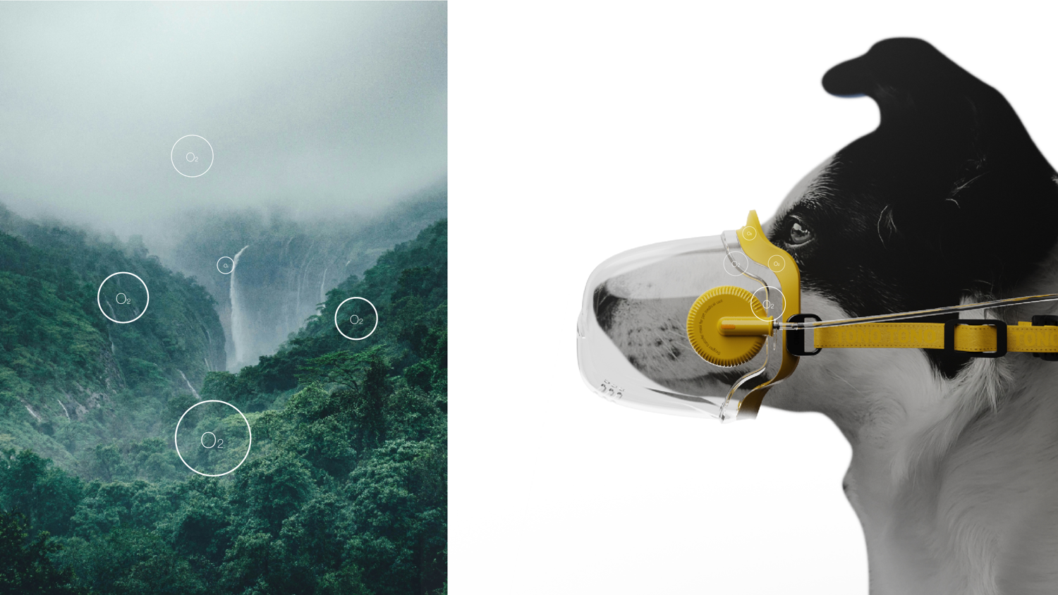 Oxygen Absorbing Apparatus，oxygen，product design，Pets，industrial design，sample reels，Render，modeling，