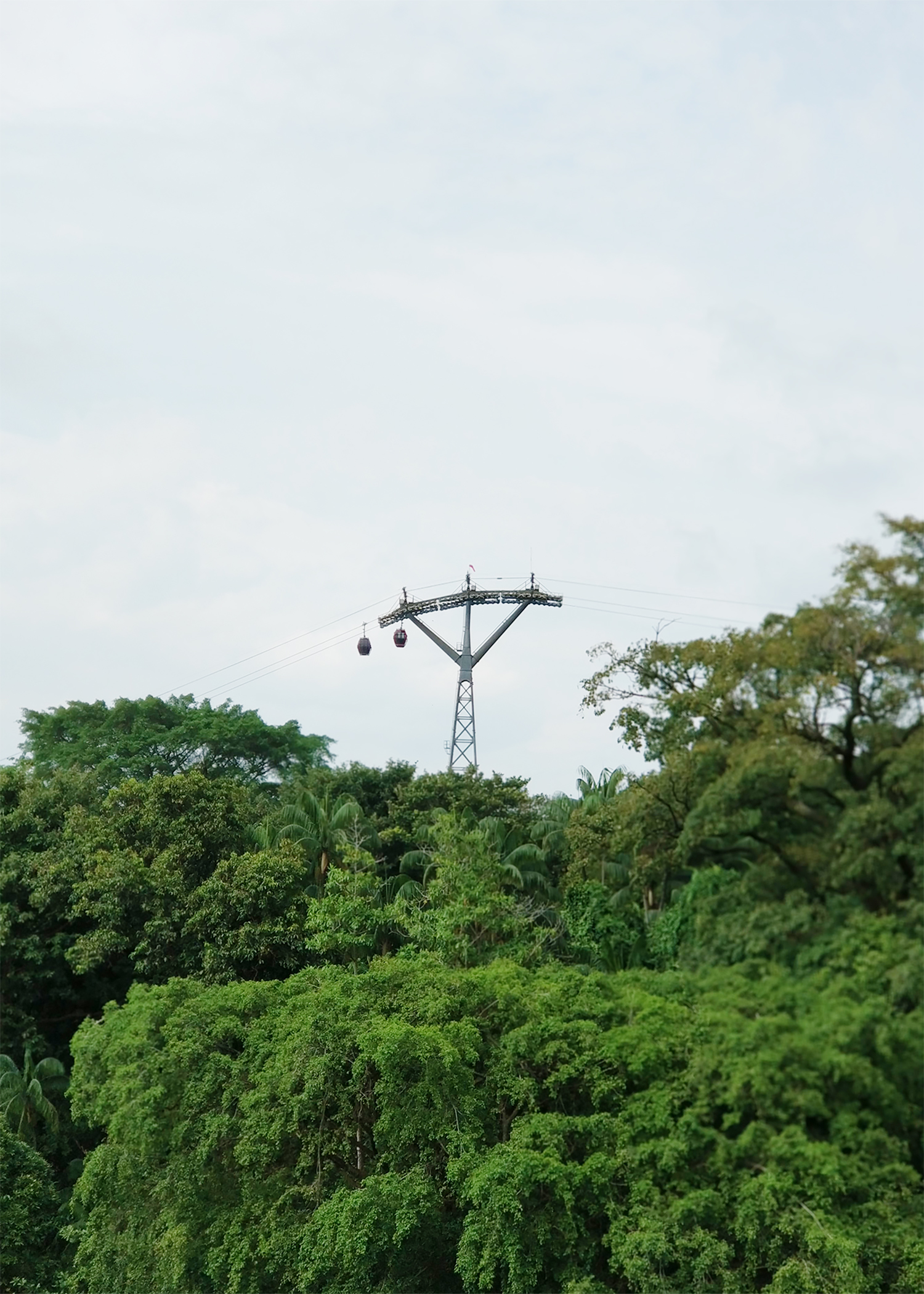 Singapore，travels，product design，Capital of Art，Scratch your head，