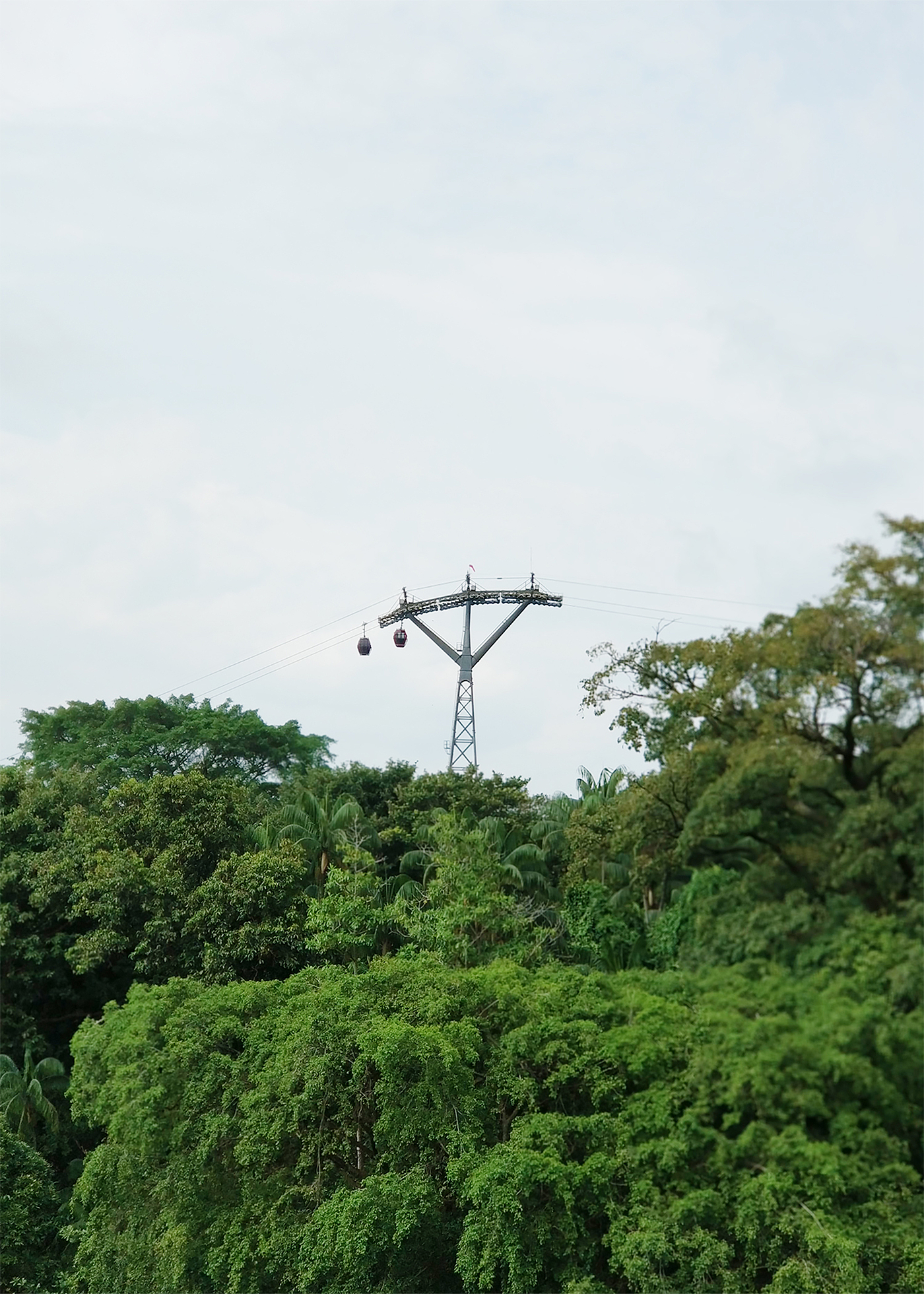 Singapore，travels，product design，Capital of Art，Scratch your head，