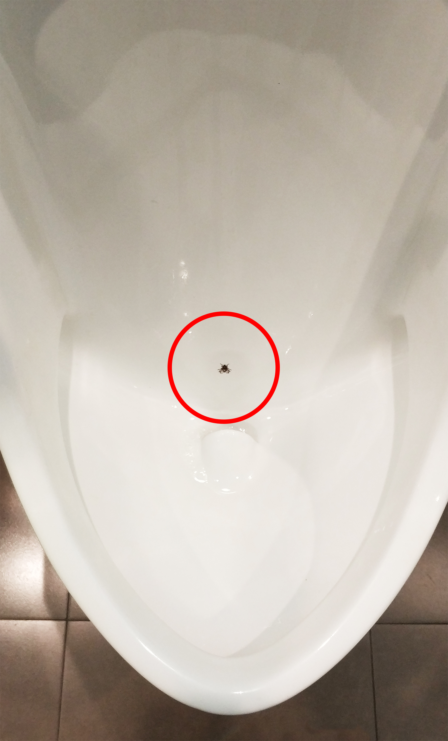 Singapore，travels，product design，Capital of Art，Scratch your head，