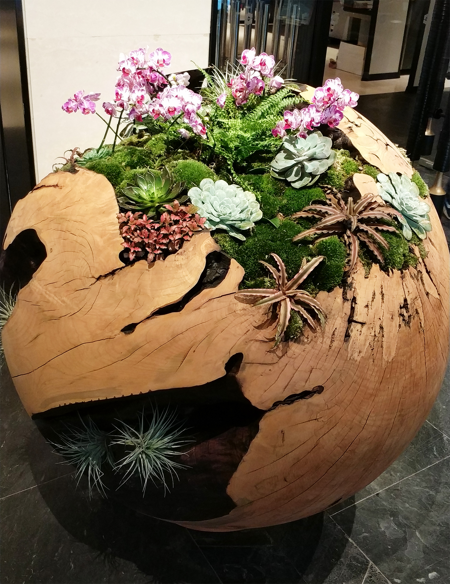 Singapore，travels，product design，Capital of Art，Scratch your head，