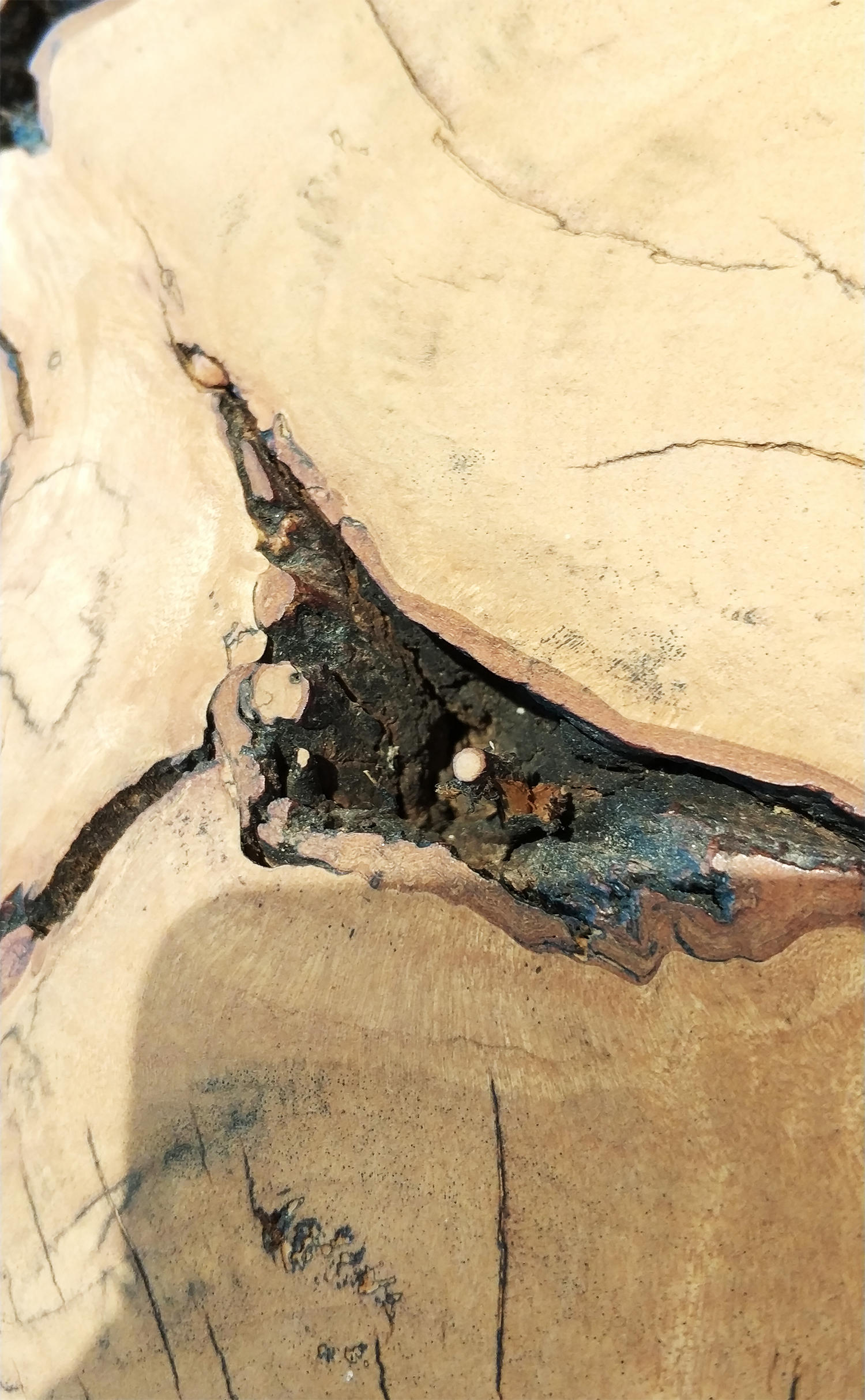 Singapore，travels，product design，Capital of Art，Scratch your head，