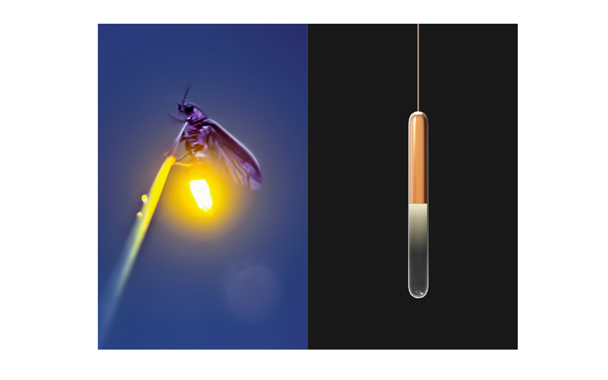 FIREFLY，a chandelier，lamps and lanterns，Design，glowworm，Glass，Copper products，inspiration，modularization，LED lamp，