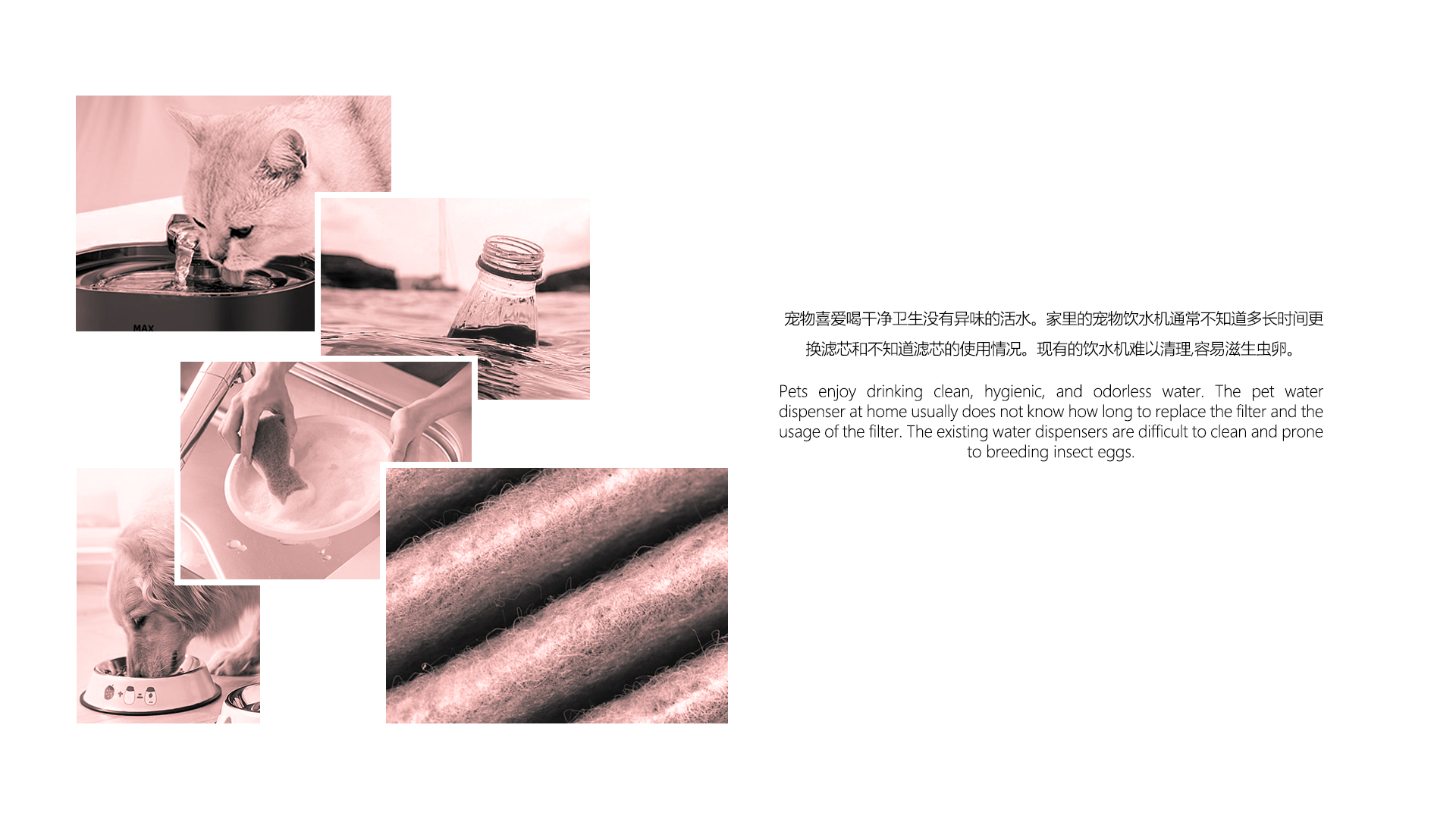 Pet water dispenser，Pet Supplies & Pet，Pets，