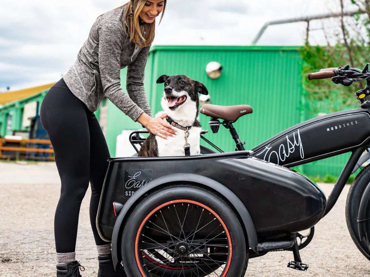 Electric bicycle，vehicle，MOD，Three-wheeled electric bicycle，