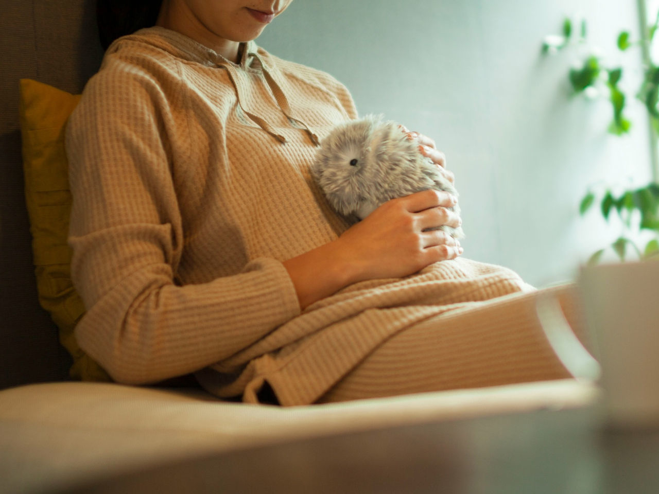 Moflin，Toys，robot，artificial intelligence，