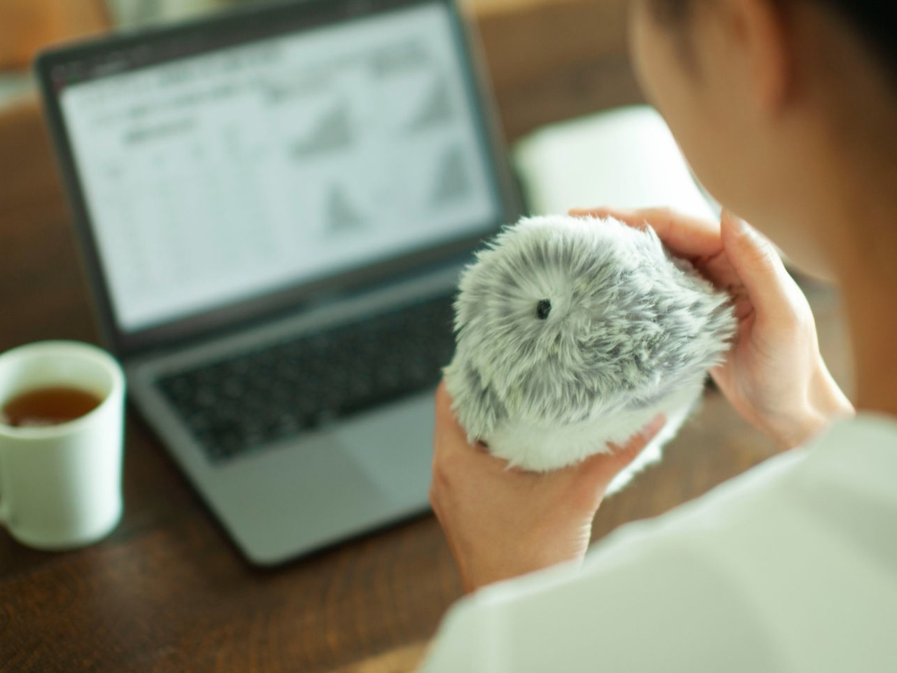 Moflin，Toys，robot，artificial intelligence，