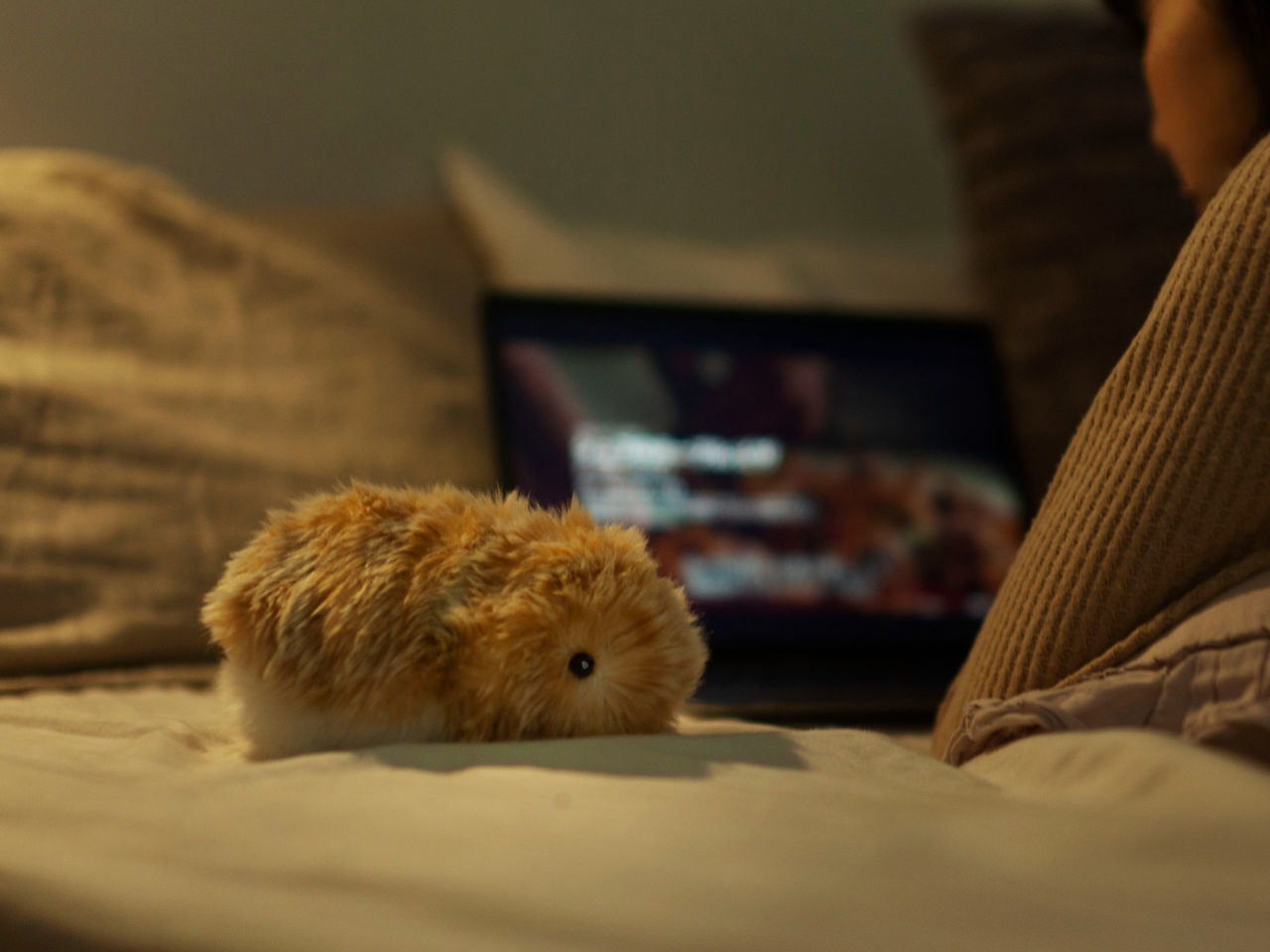 Moflin，Toys，robot，artificial intelligence，