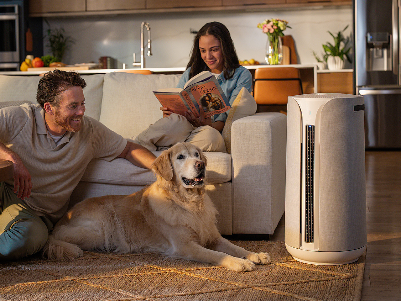 ComfortPure™，air cleaner，Household Electric Appliances，Household appliances，