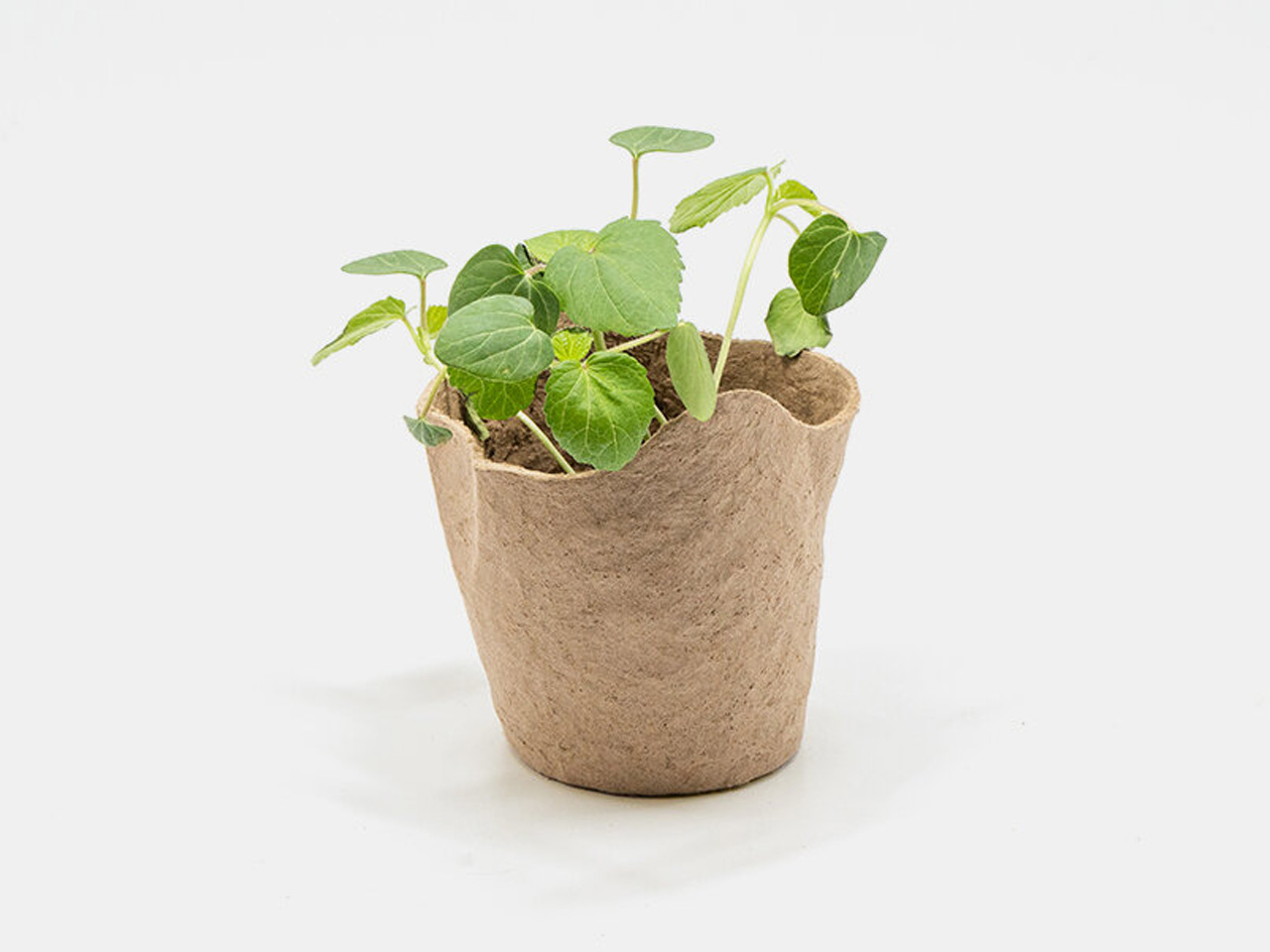 Zero waste，plant，Urban agriculture，Open Source Mold，