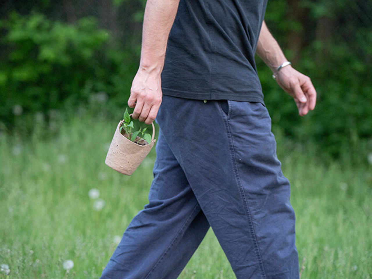 Zero waste，plant，Urban agriculture，Open Source Mold，