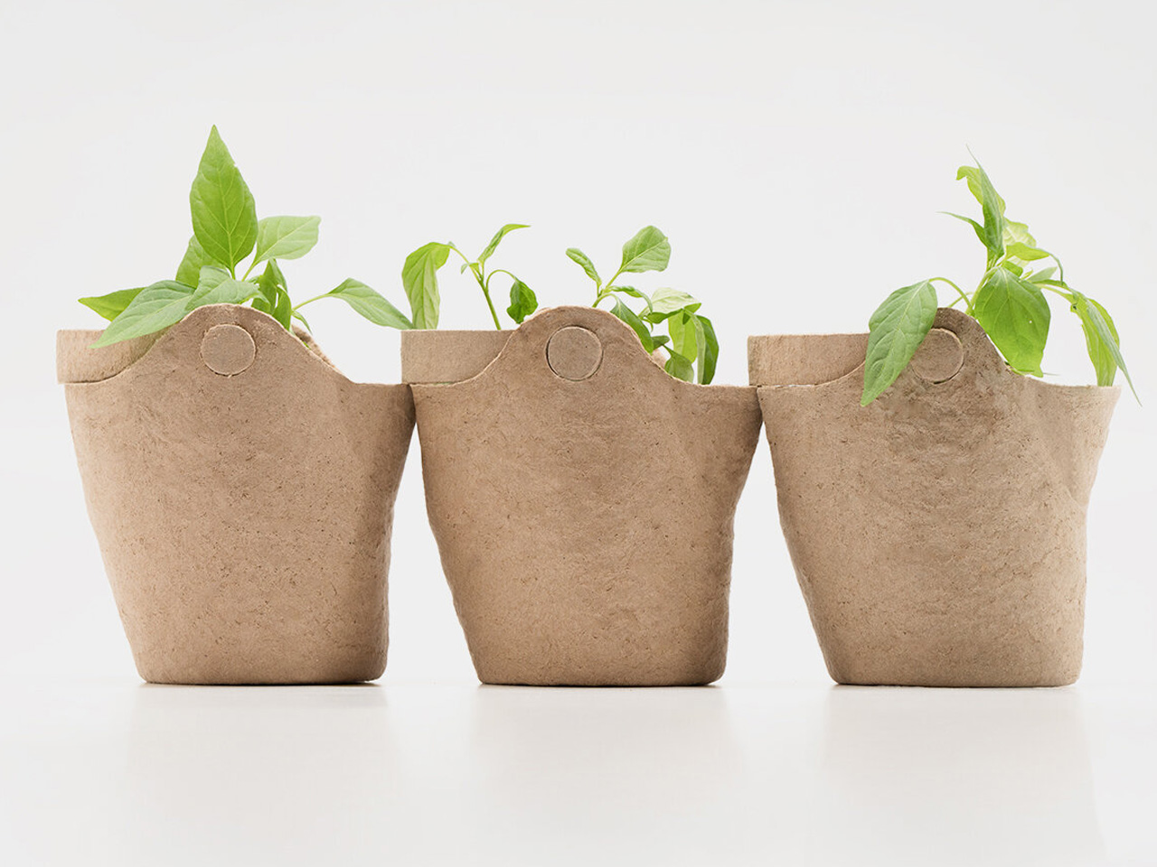 Zero waste，plant，Urban agriculture，Open Source Mold，