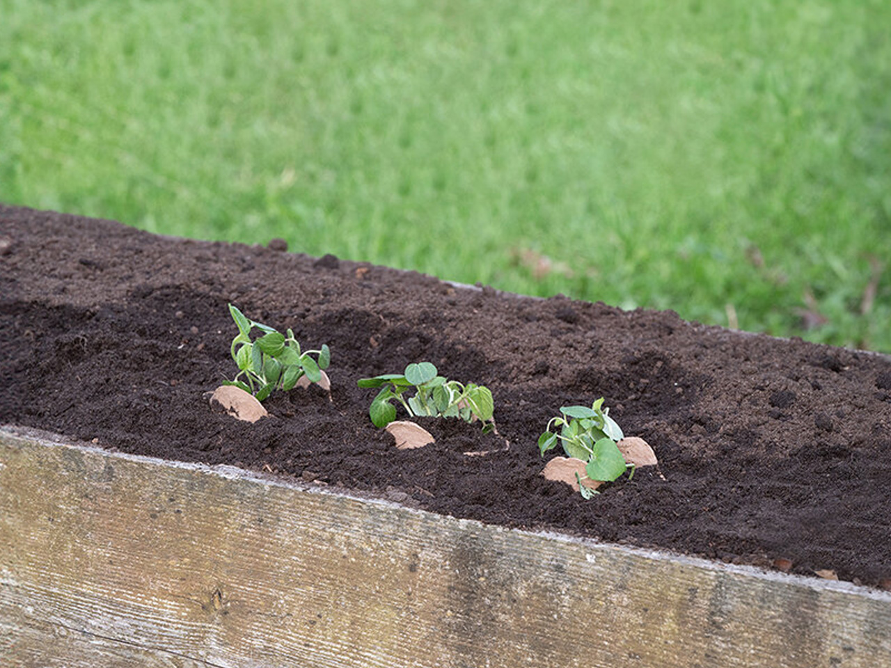 Zero waste，plant，Urban agriculture，Open Source Mold，