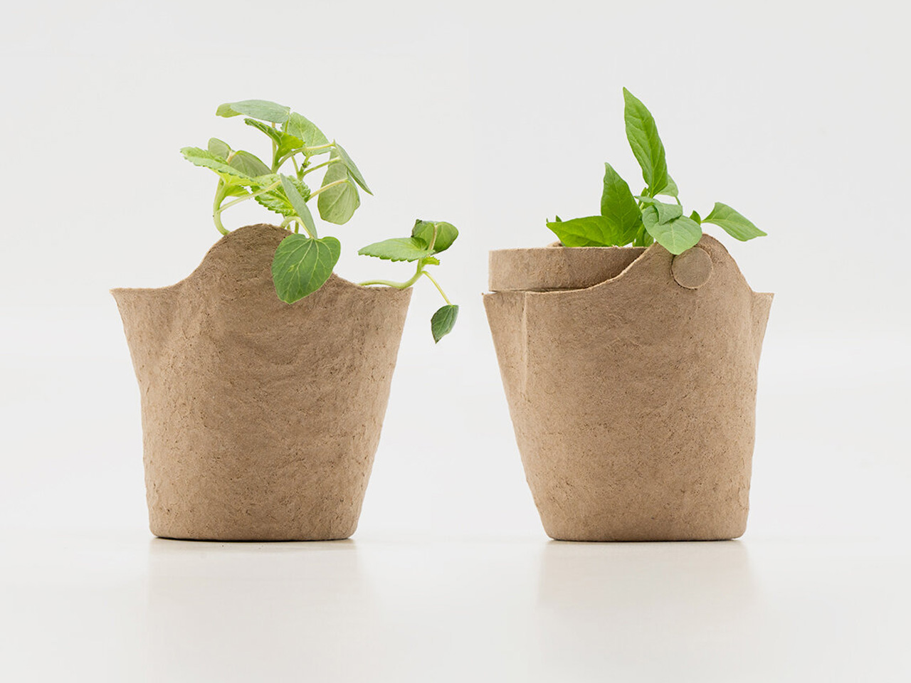 Zero waste，plant，Urban agriculture，Open Source Mold，