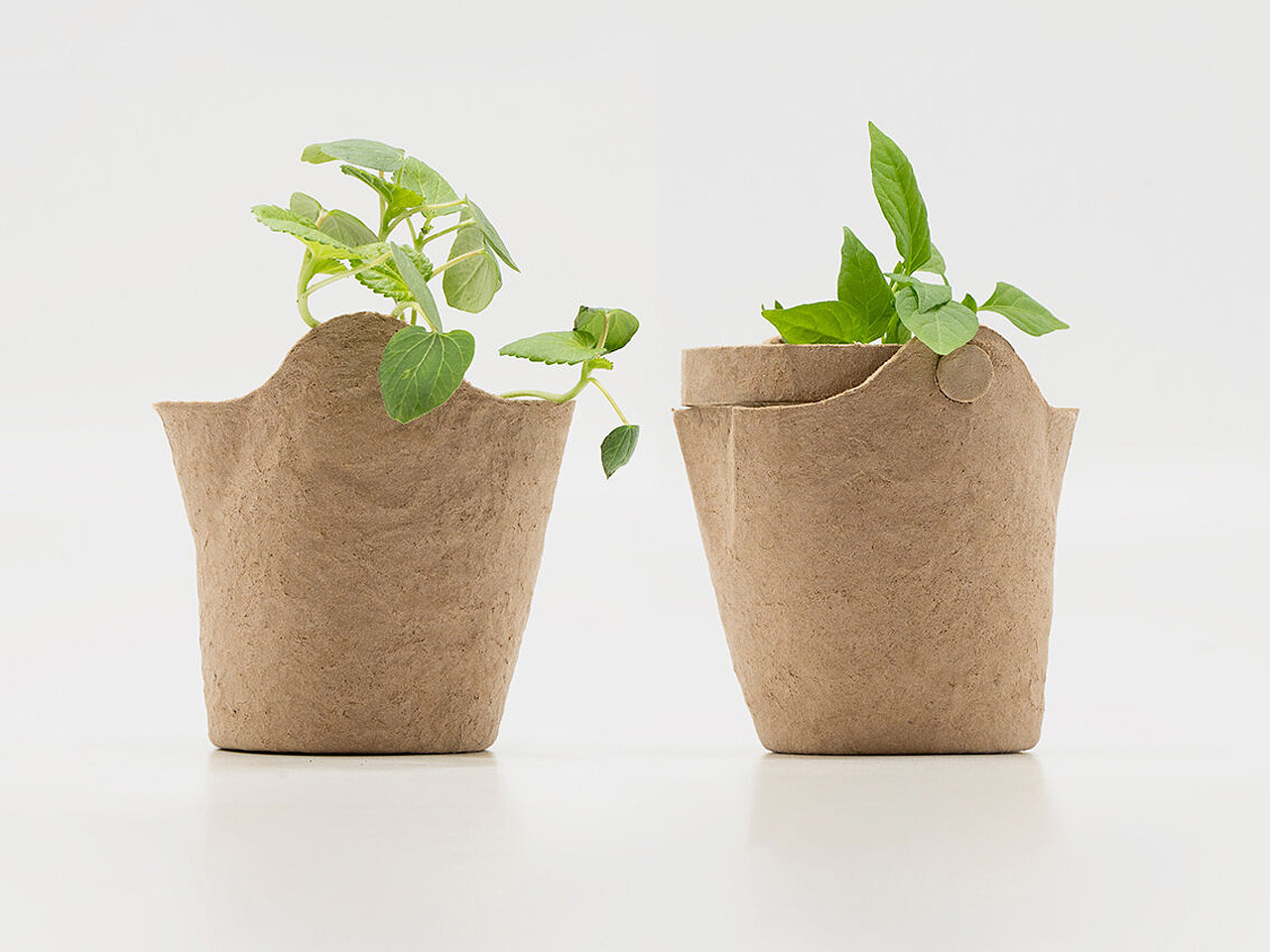 Zero waste，plant，Urban agriculture，Open Source Mold，