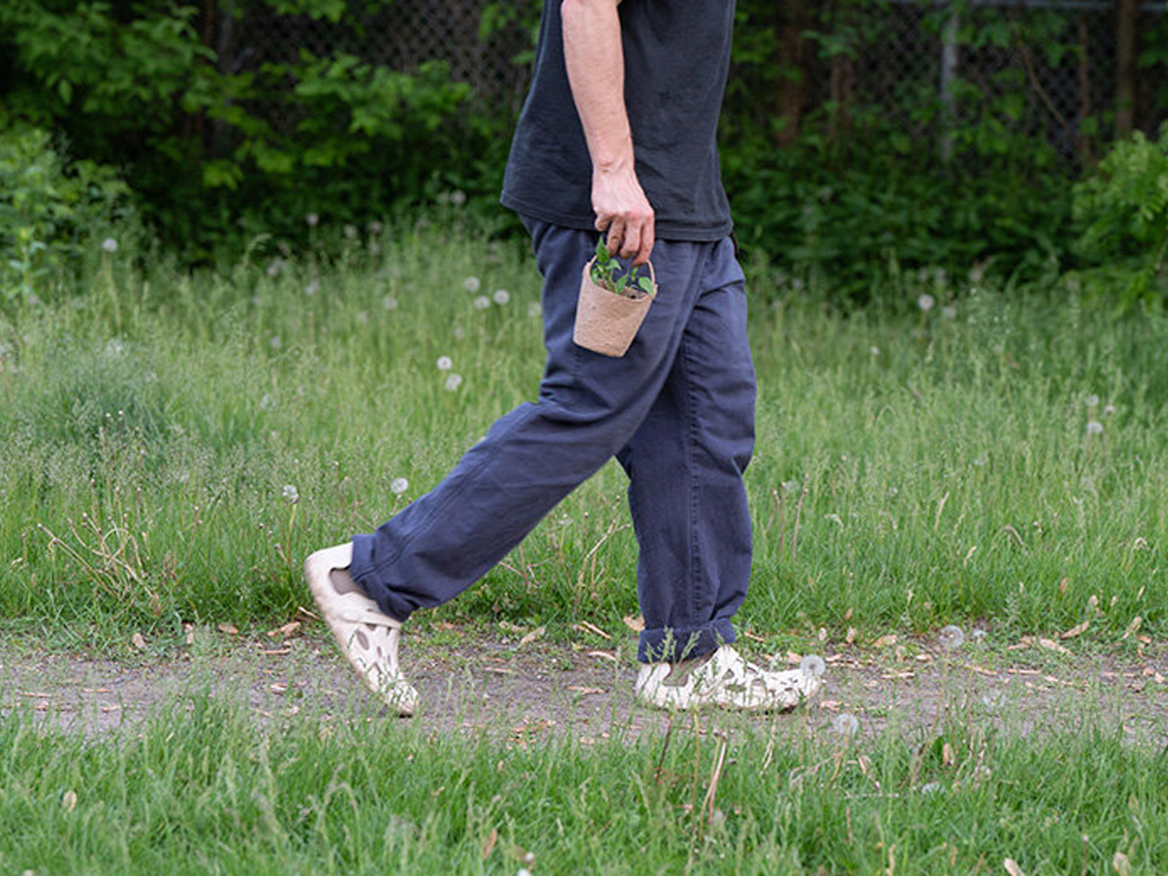 Zero waste，plant，Urban agriculture，Open Source Mold，