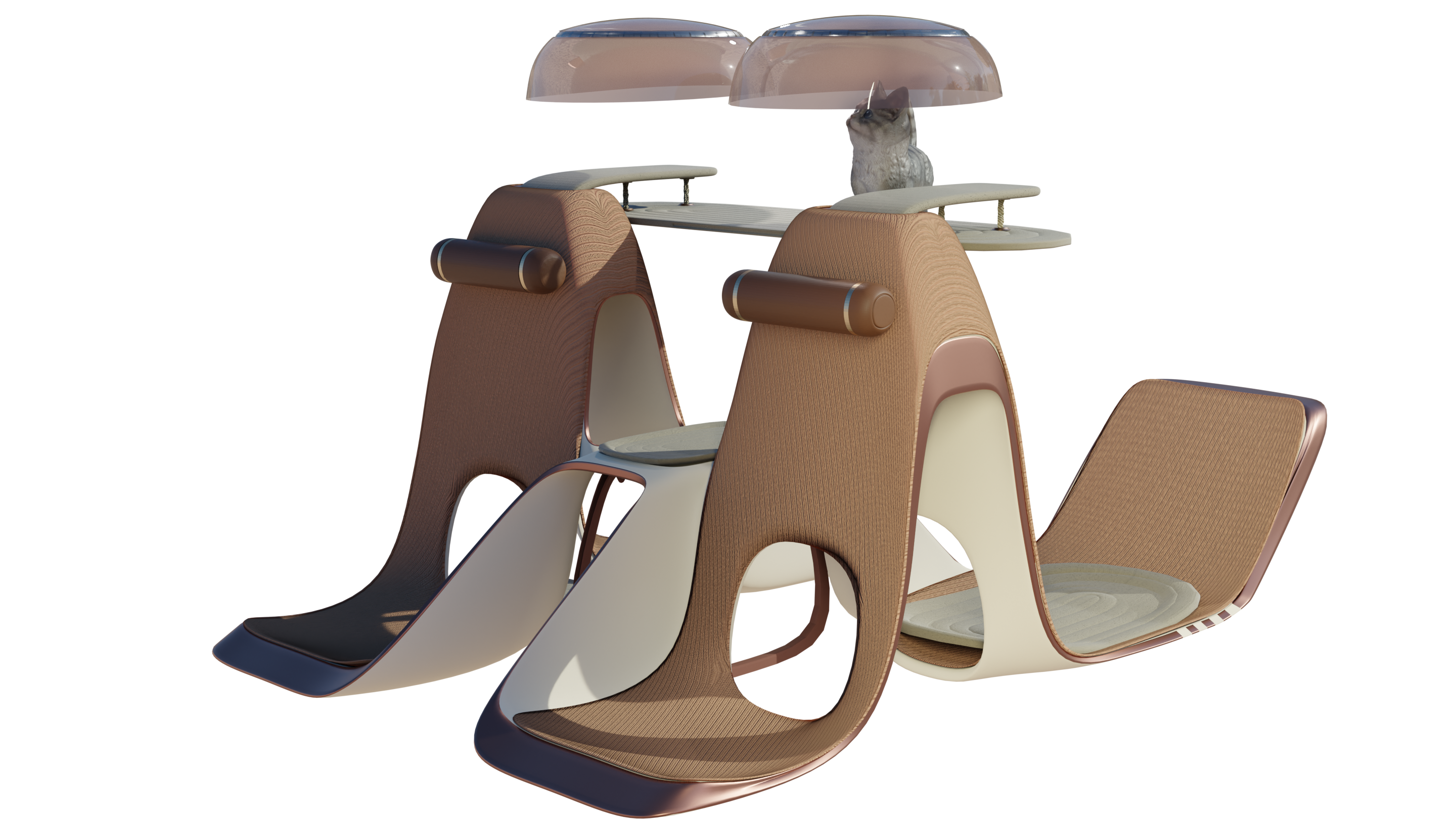 Feifan-PET-CLUB，The 11th SAIC Design International Challenge，China Main Circuit，