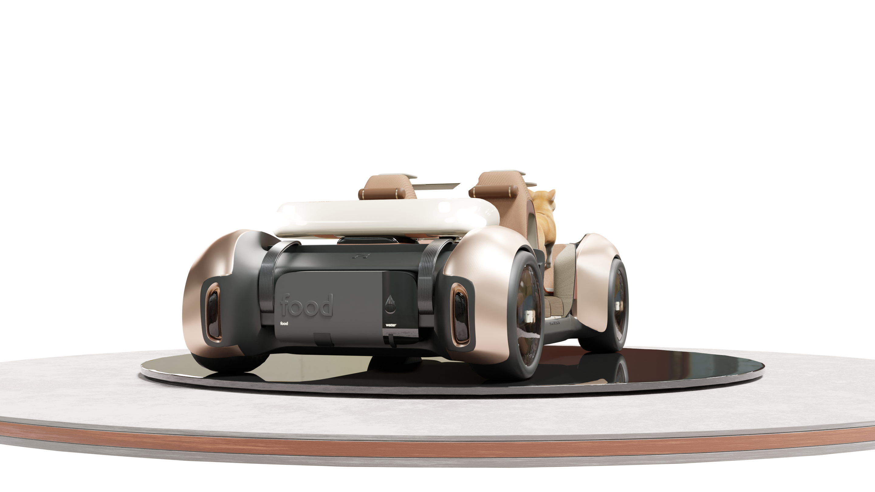 Feifan-PET-CLUB，The 11th SAIC Design International Challenge，China Main Circuit，