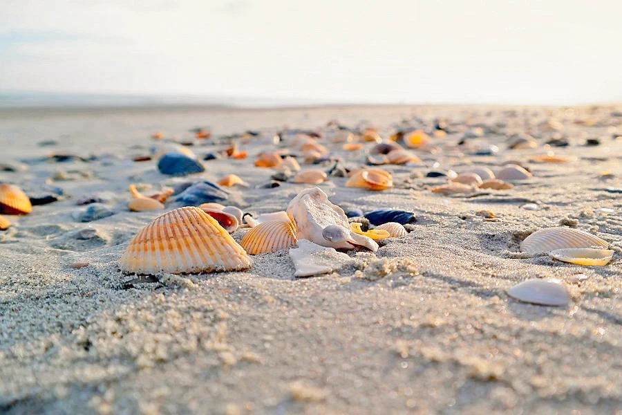 packing design，Face box，graphic design ，Brand promotion，