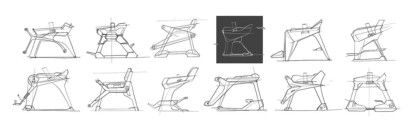 RASKAT，sled，Persons with Disabilities，skiing，Mobility，