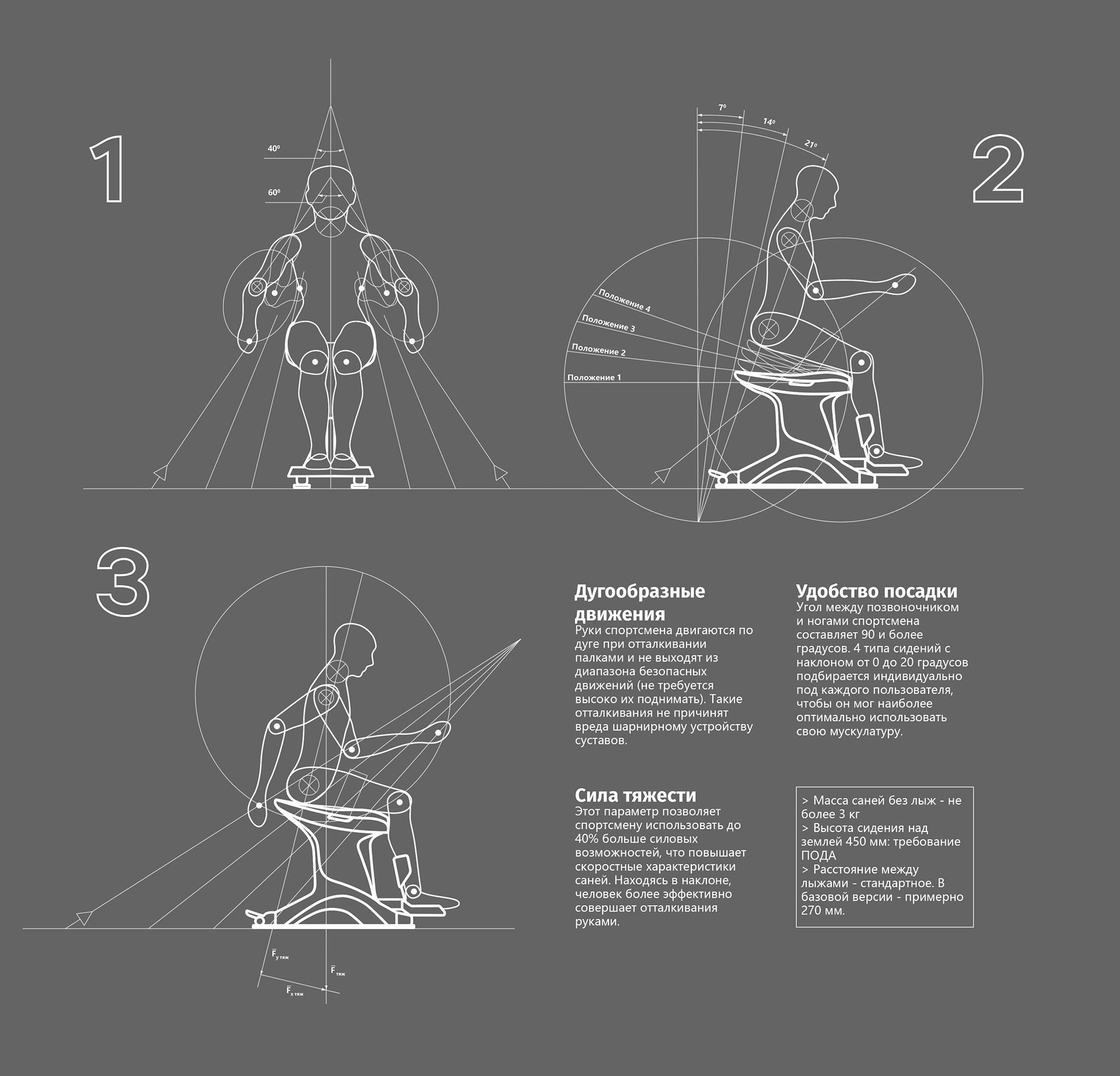 RASKAT，sled，Persons with Disabilities，skiing，Mobility，
