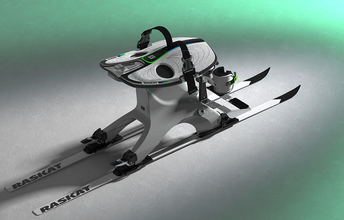 RASKAT，sled，Persons with Disabilities，skiing，Mobility，