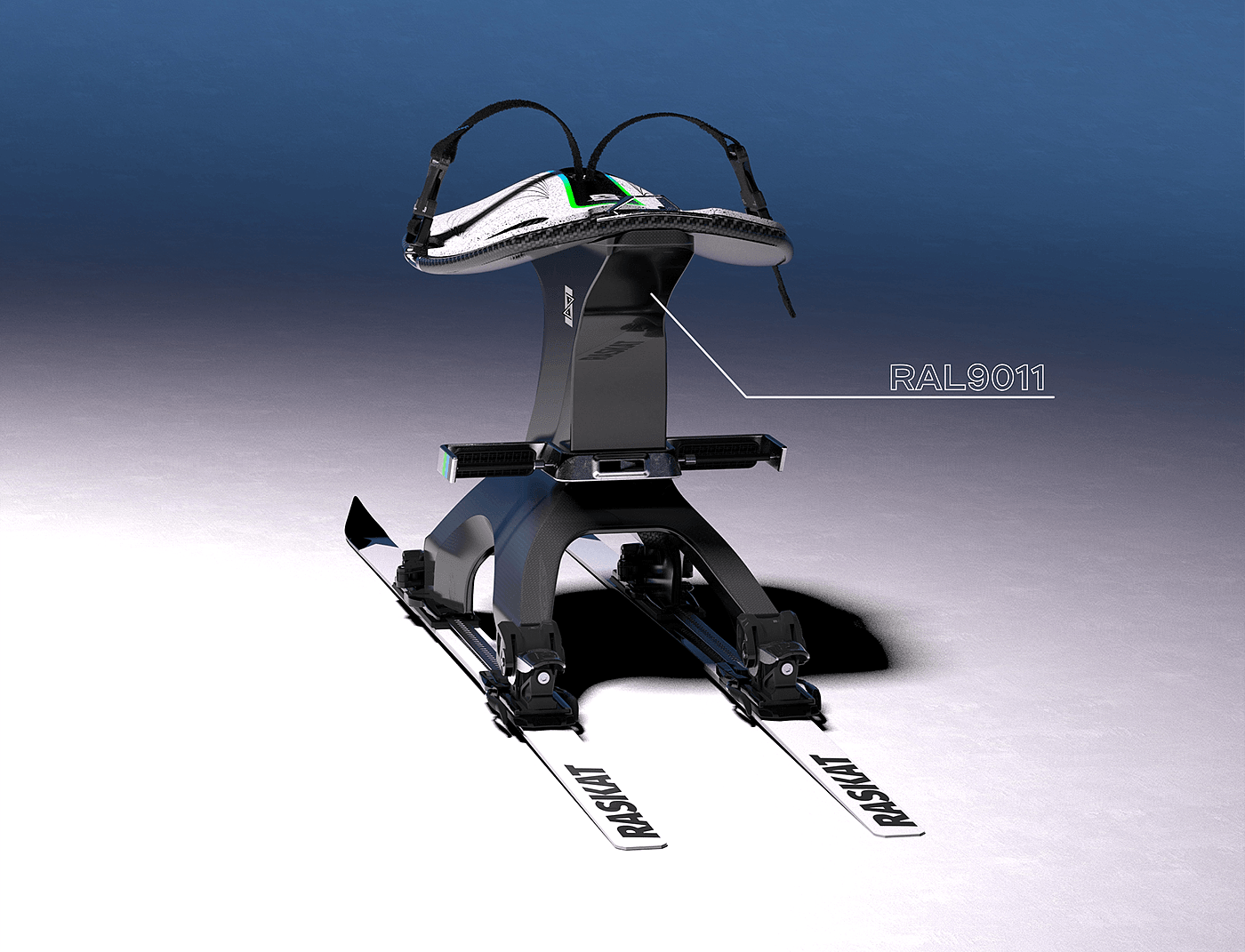 RASKAT，sled，Persons with Disabilities，skiing，Mobility，