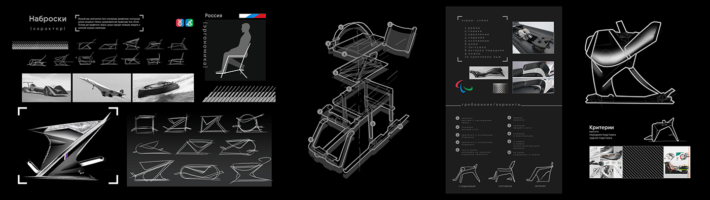 RASKAT，sled，Persons with Disabilities，skiing，Mobility，