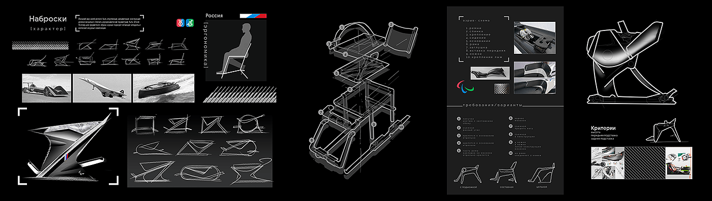 RASKAT，sled，Persons with Disabilities，skiing，Mobility，