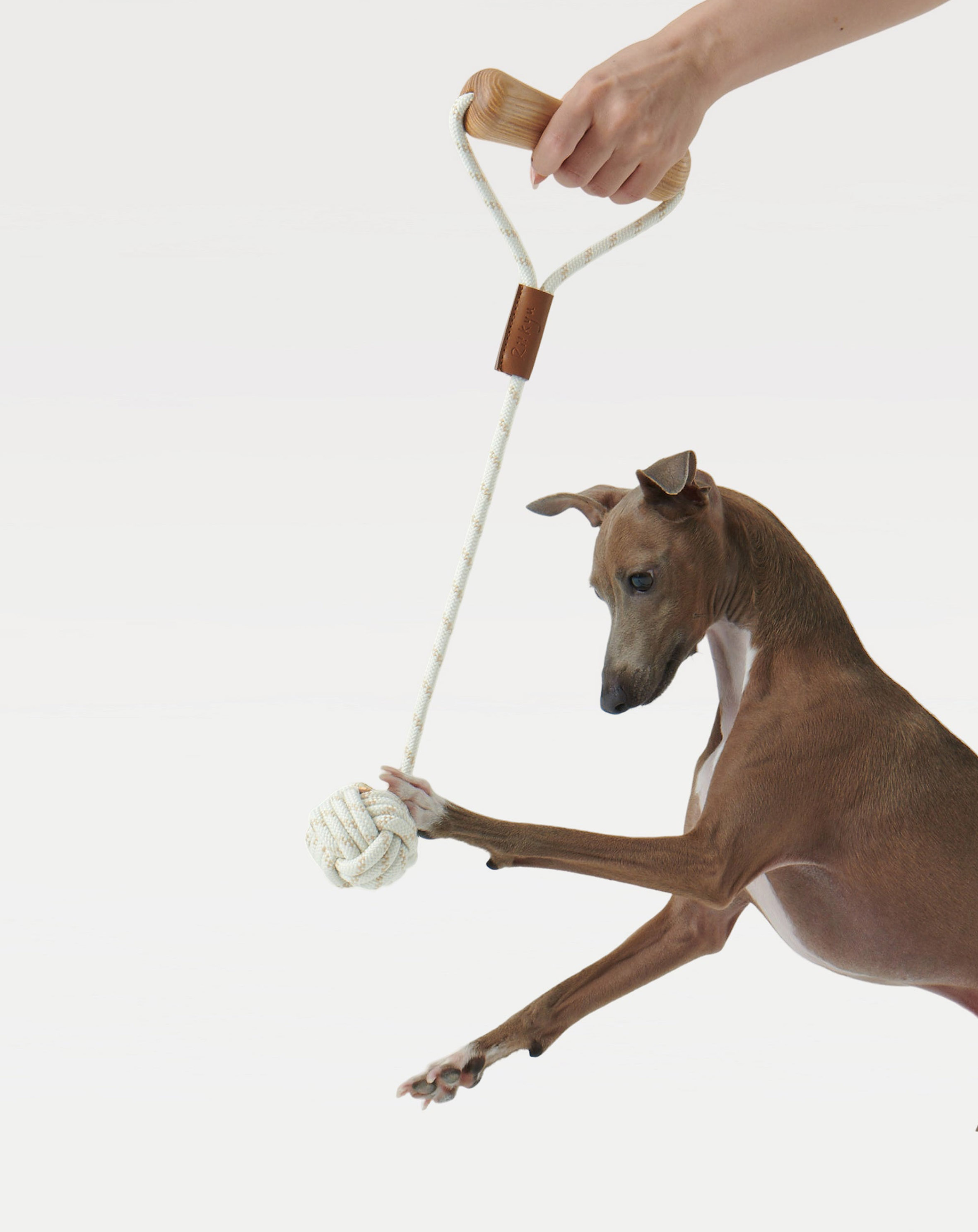 Traction rope，dog，Pet Supplies & Pet，Pet toys，Interactive toys，Diligent design，a molar tooth，rope ball，