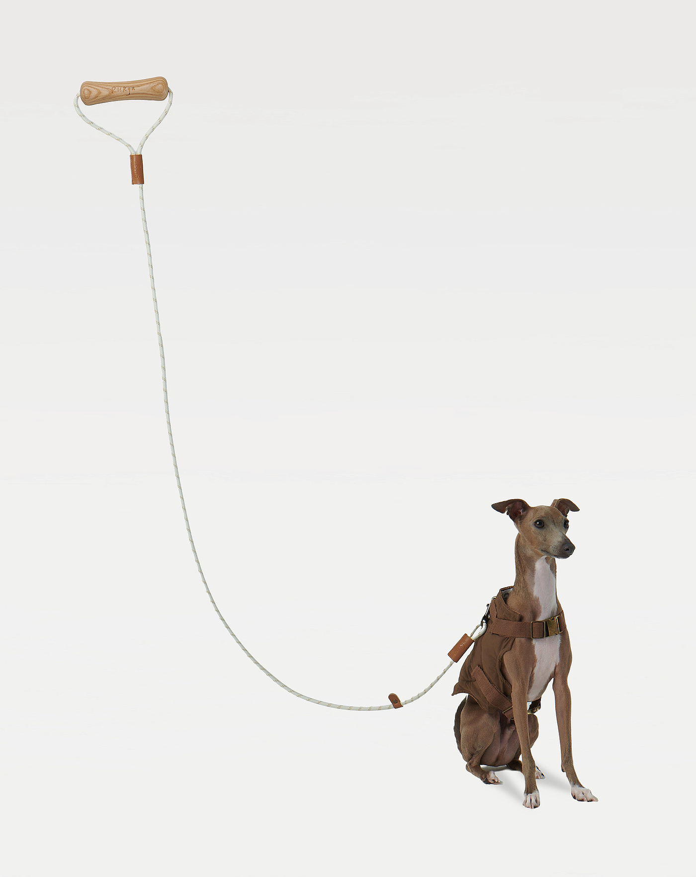 Traction rope，dog，Pet Supplies & Pet，Pet toys，Interactive toys，Diligent design，a molar tooth，rope ball，