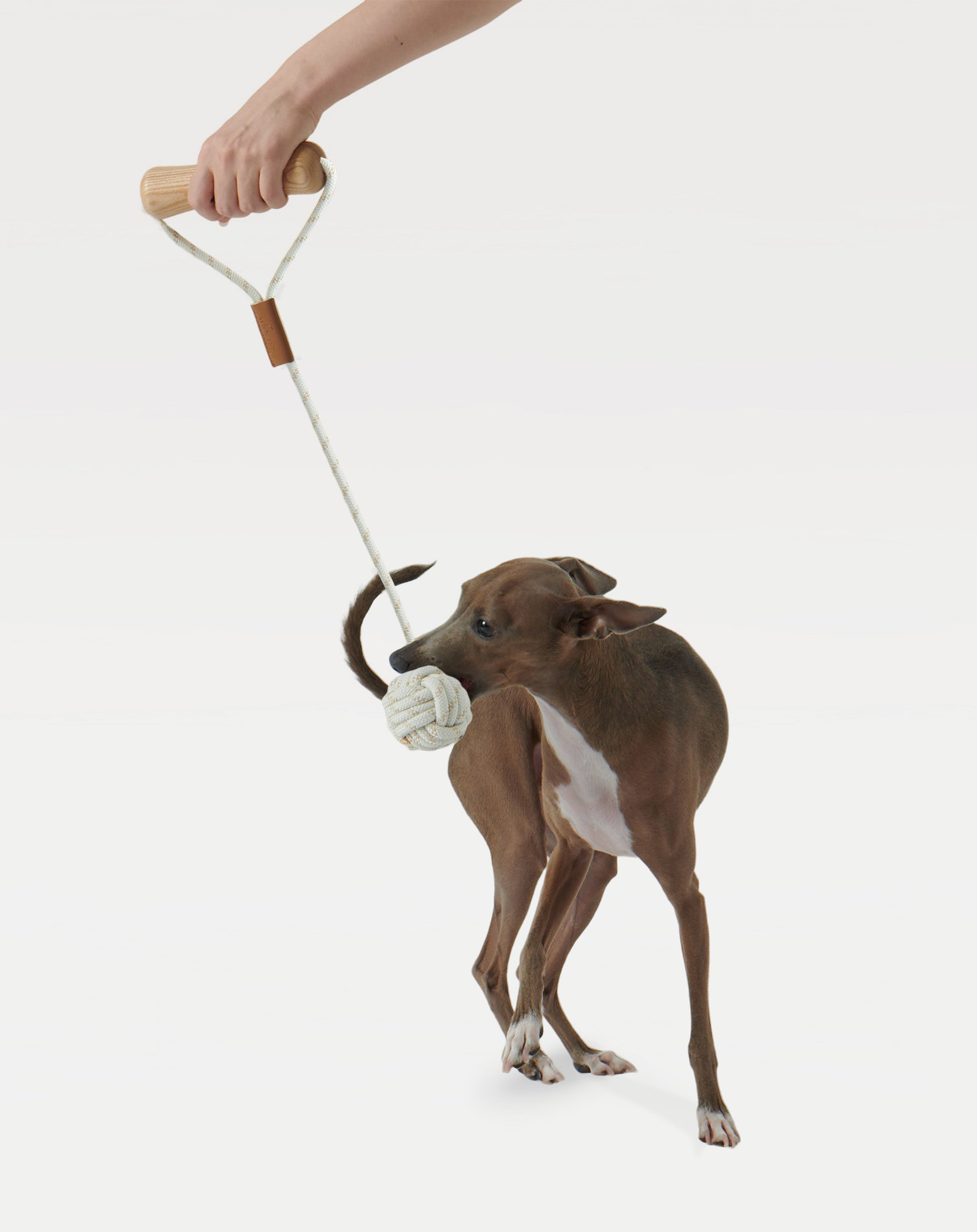 Traction rope，dog，Pet Supplies & Pet，Pet toys，Interactive toys，Diligent design，a molar tooth，rope ball，