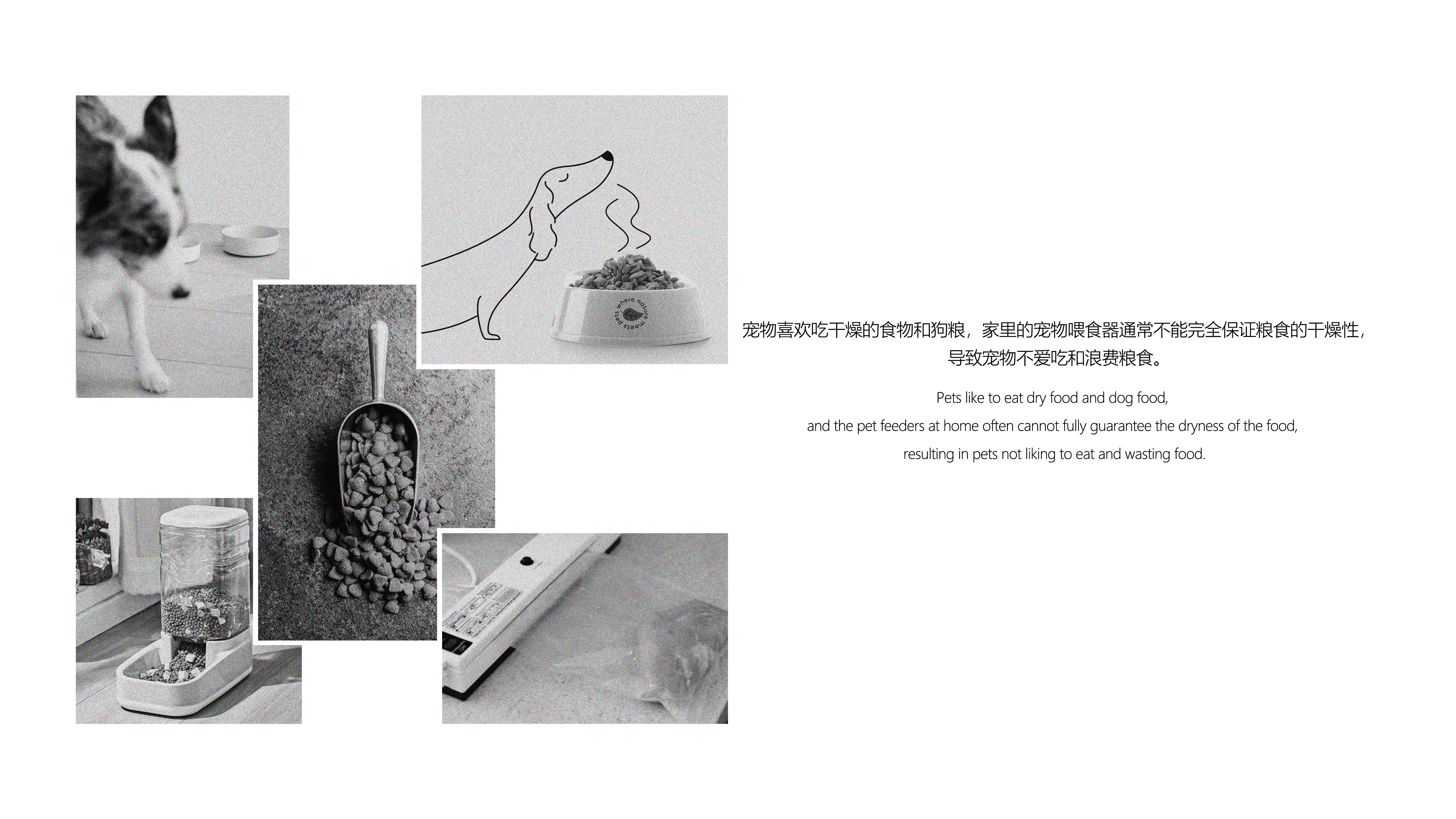 Pet feeder，Pet Supplies & Pet，Pets，