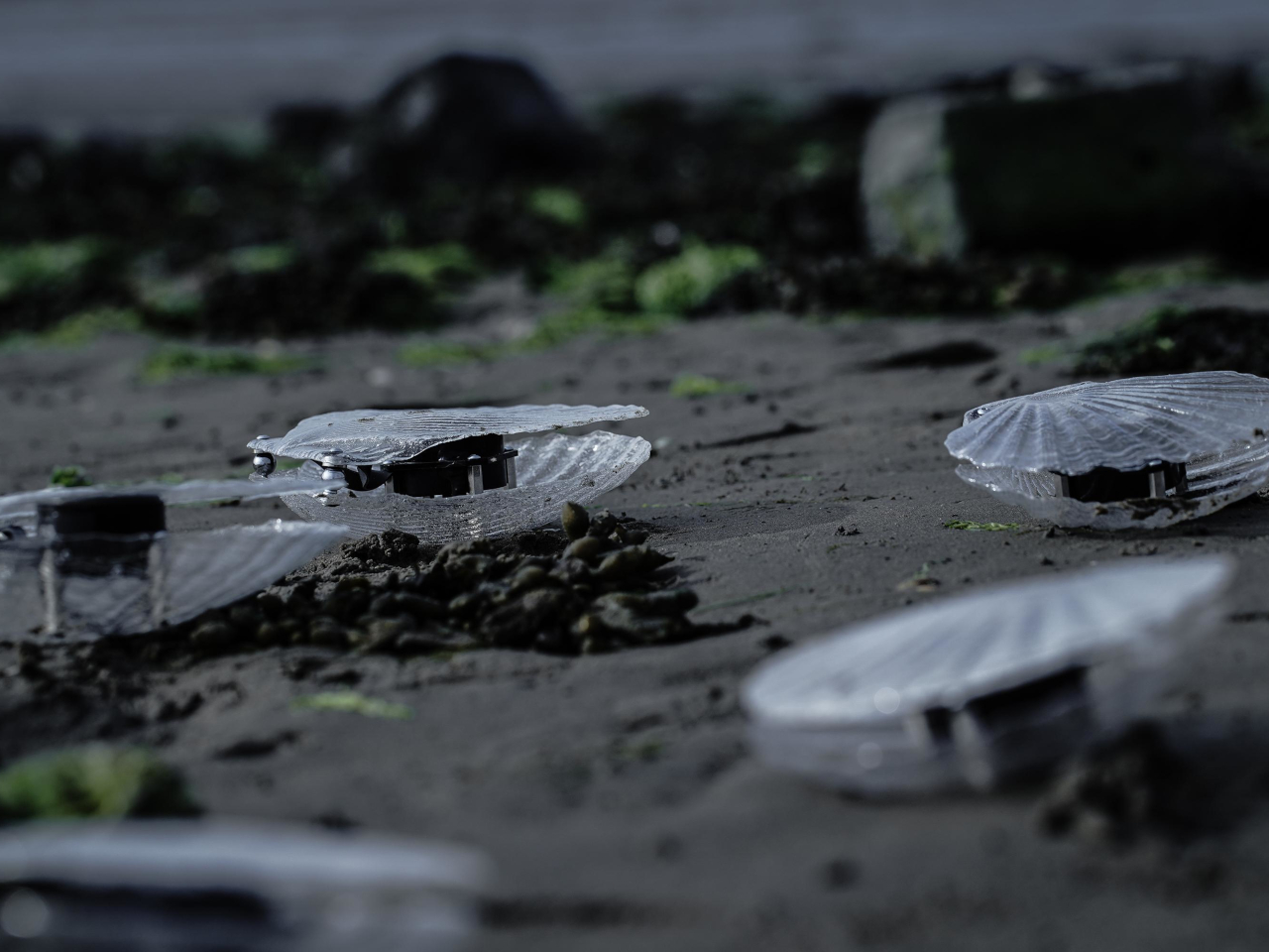 waste plastic，Art installation，water quality monitoring，Sustainability，Dynamic Sound Sculpture，