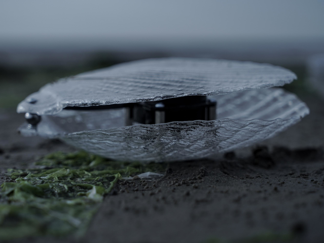 waste plastic，Art installation，water quality monitoring，Sustainability，Dynamic Sound Sculpture，