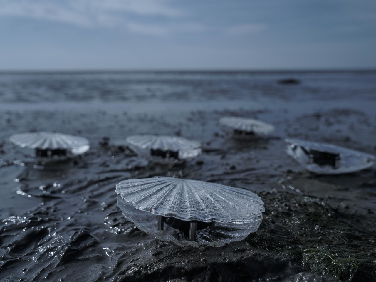 waste plastic，Art installation，water quality monitoring，Sustainability，Dynamic Sound Sculpture，