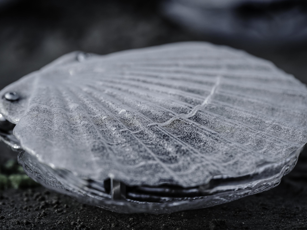 waste plastic，Art installation，water quality monitoring，Sustainability，Dynamic Sound Sculpture，