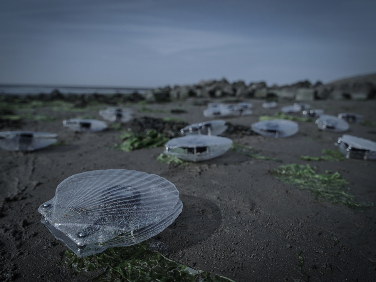 waste plastic，Art installation，water quality monitoring，Sustainability，Dynamic Sound Sculpture，