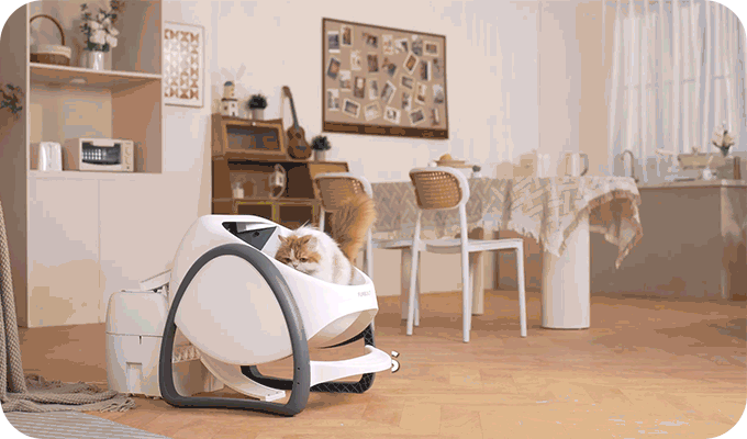 Odor management，Litter box，Catbula Pro，Health monitoring，
