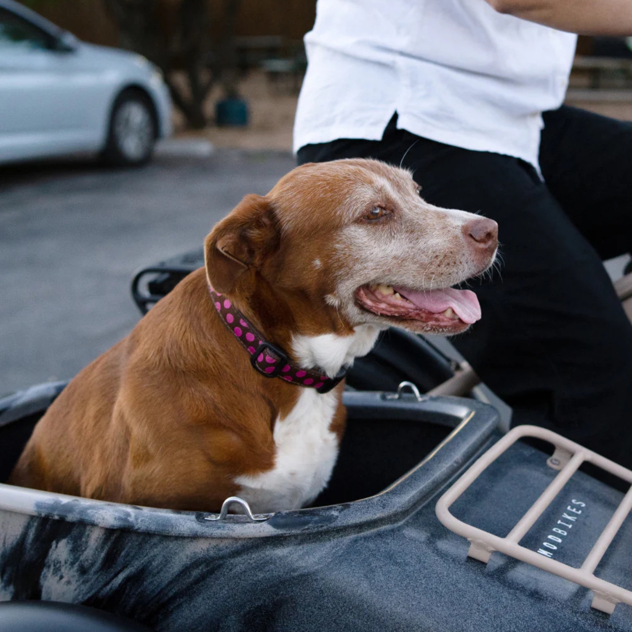 Electric bicycle，vehicle，originality，Electric Sidel，